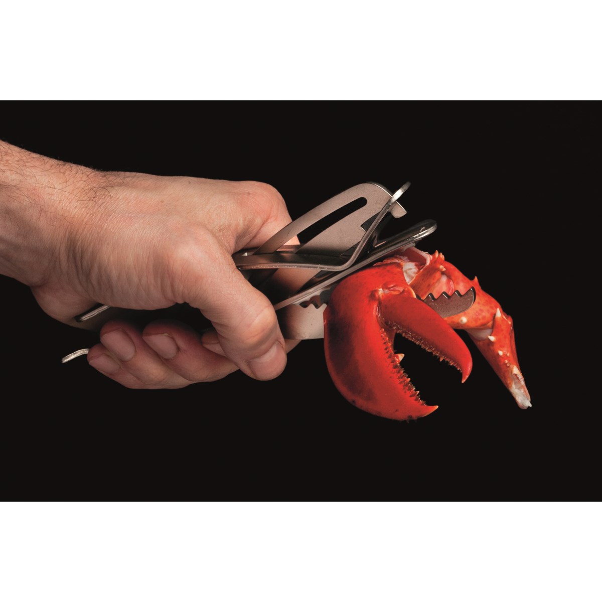 Caretta Skaldjursknäckare Stål