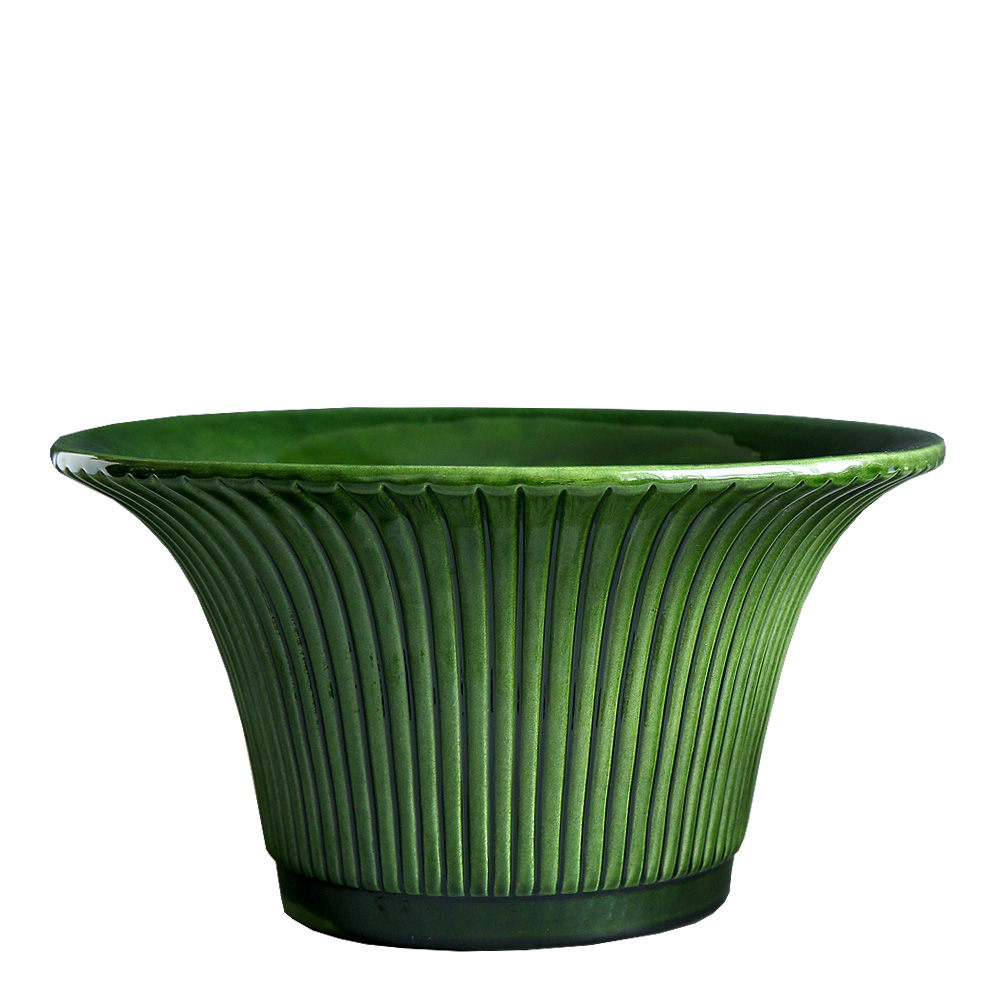 Daisy Kruka 30 cm Grön