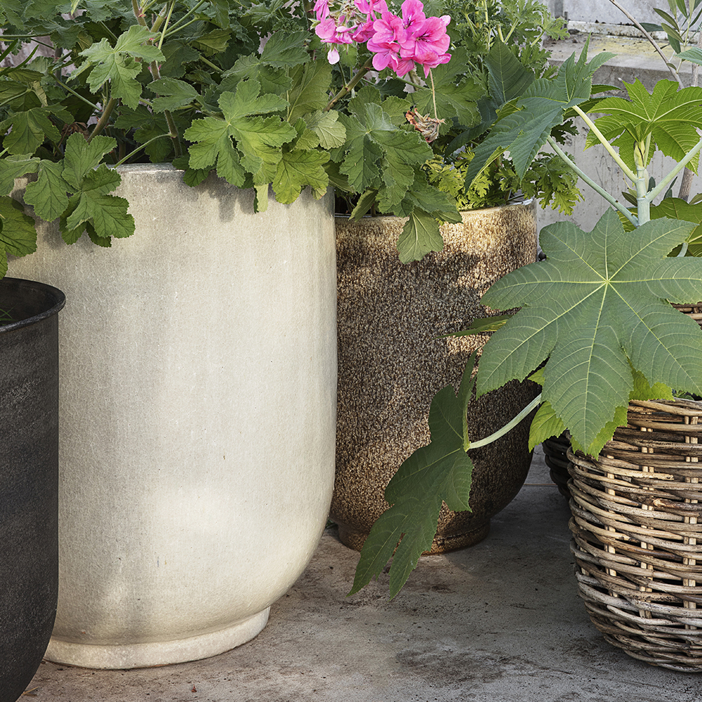 Pho Krukor 2-pack Nougat