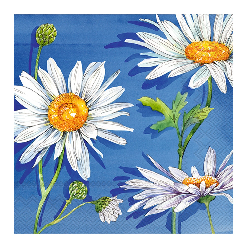 Servett Rita 25x25cm 20-pack Blå