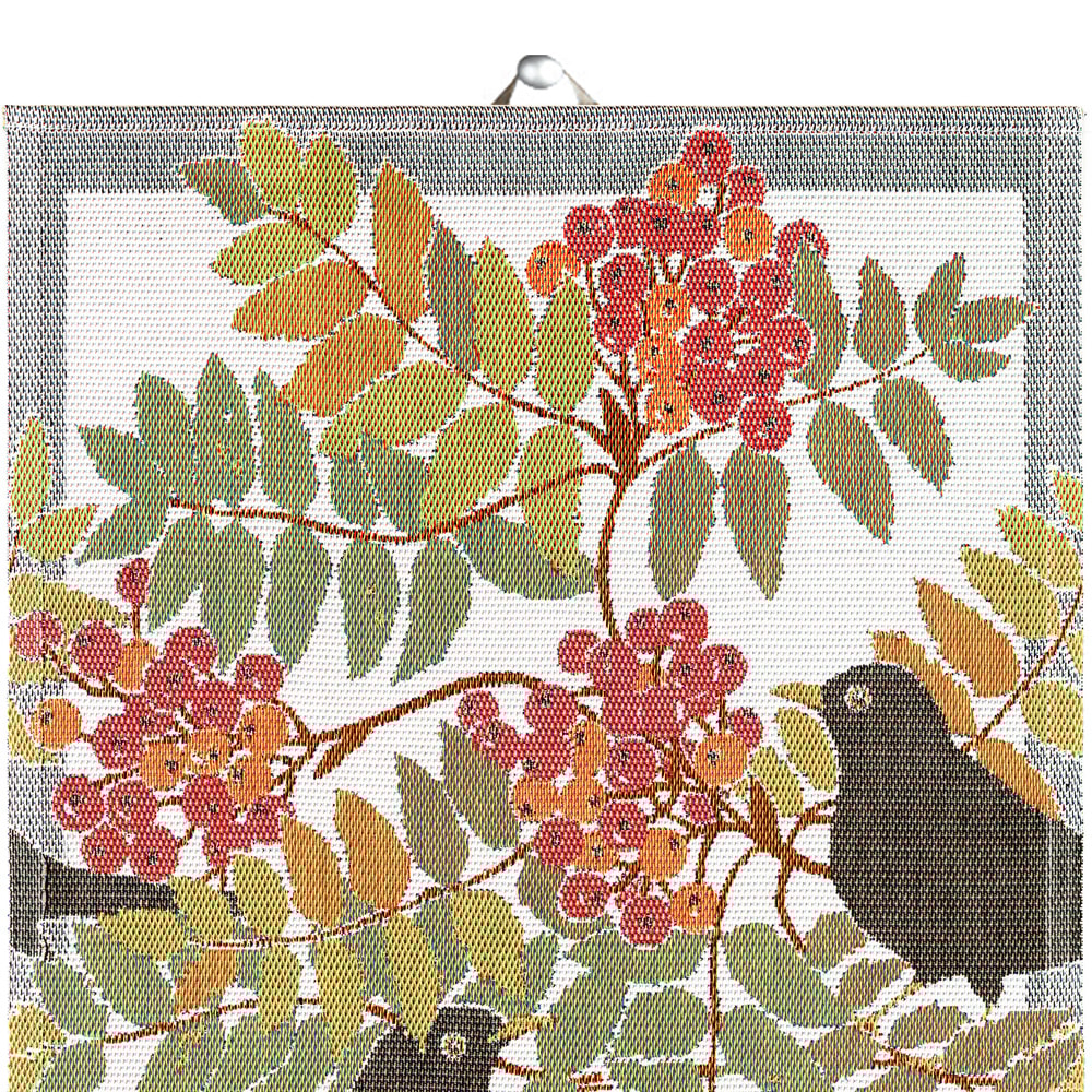 Koltrast Kökshandduk 40x60 cm