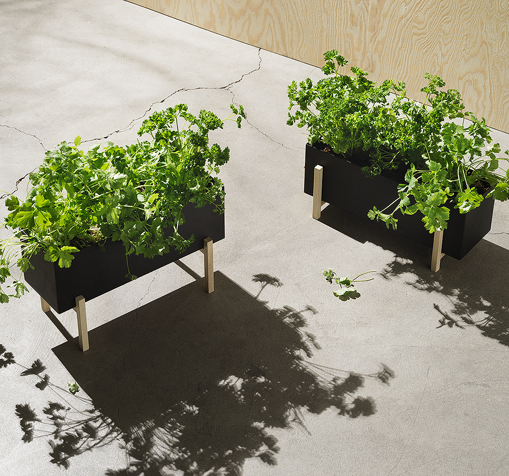 Blomsterlåda Botanic Herb Box