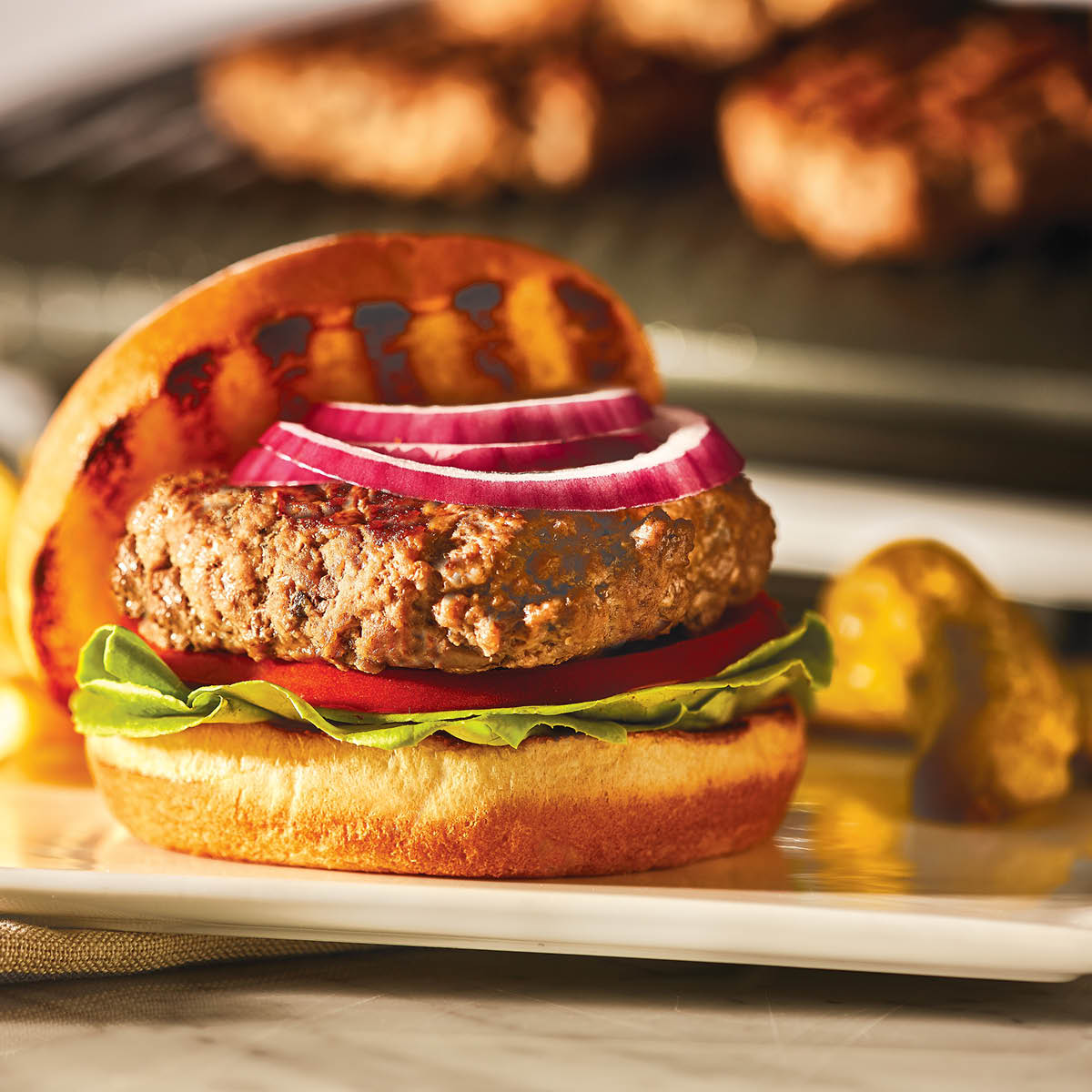 OptiGrill Bordsgrill XL