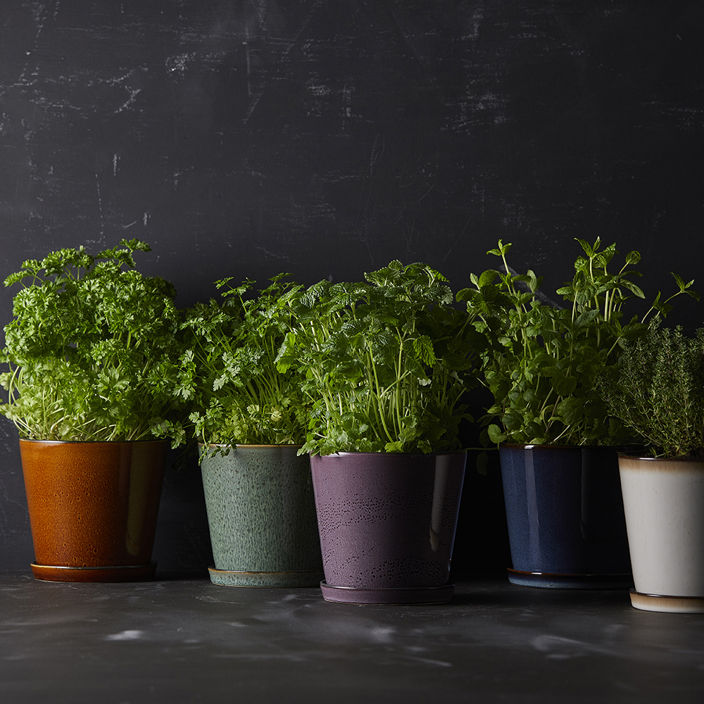 Skjuler Kruka med fat 12,5 cm Mörkblå/Svart