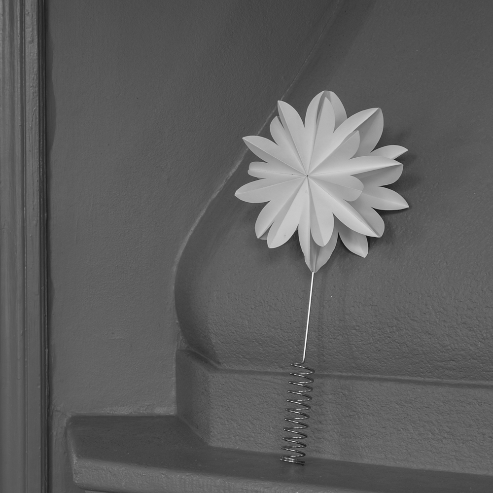 Karla Toppstjärna Vit