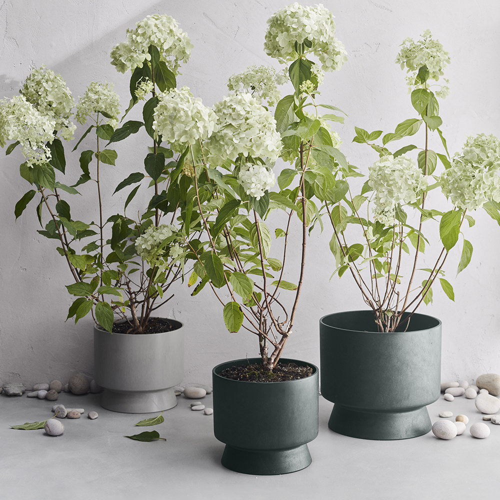 Blomkruka 24 cm Grön