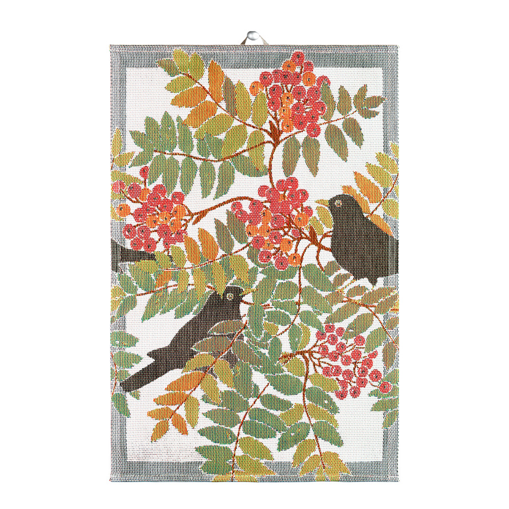 Koltrast Kökshandduk 40x60 cm