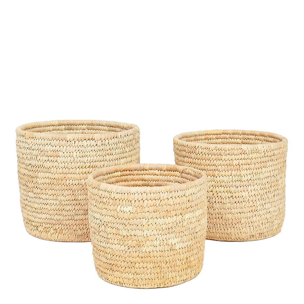 Palm Korg/Kruka 3 delar