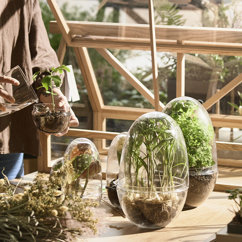 Grow Växthus Large 32 cm