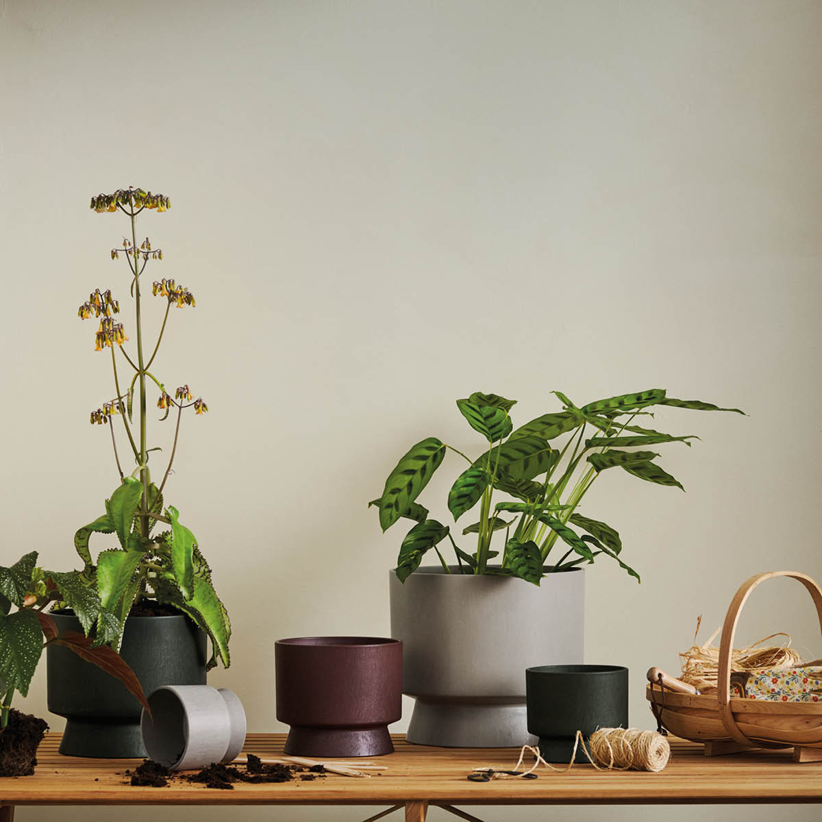 Blomkruka 12 cm Sand