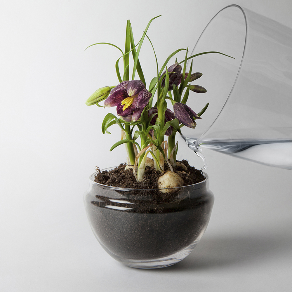 Grow Växthus Small 14 cm