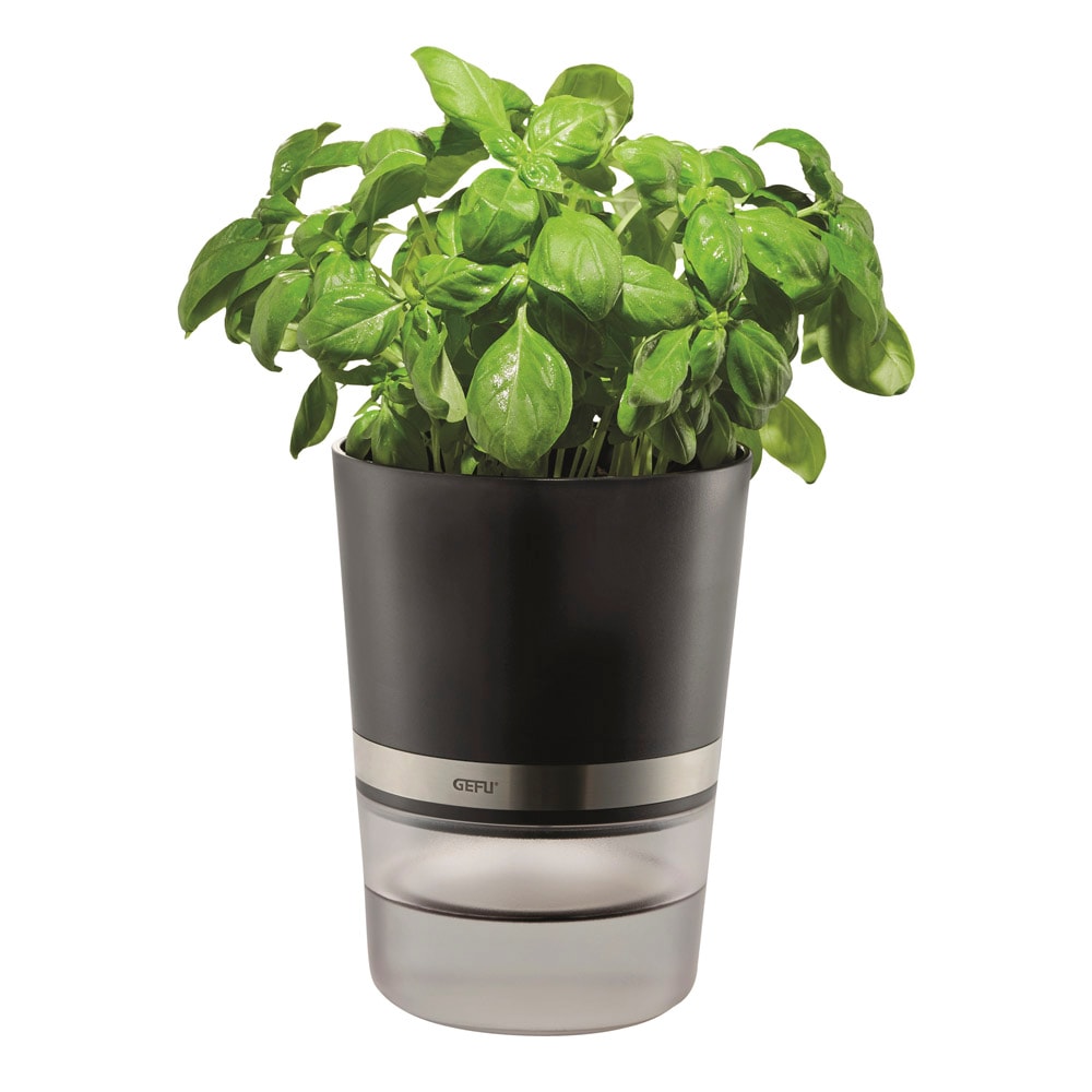 Botanico Kryddkruka självvattnande