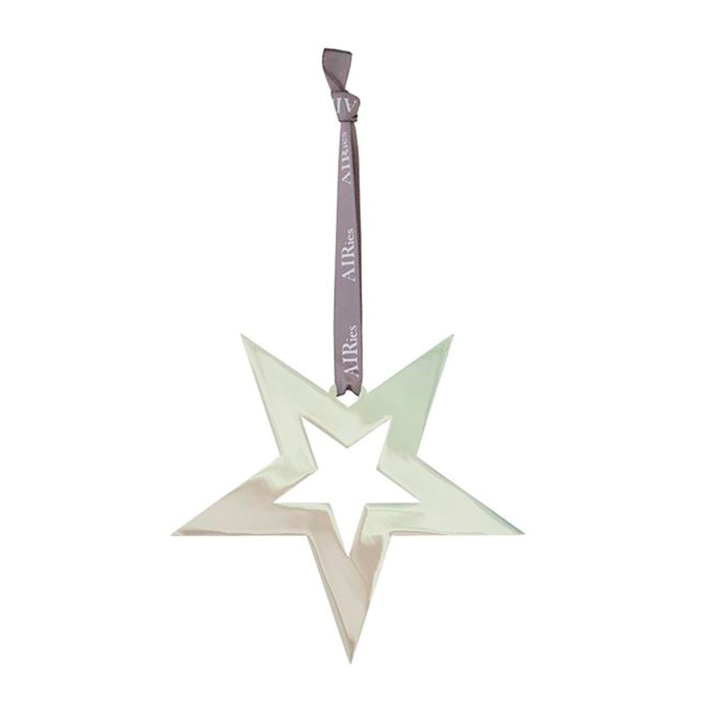 Julhänge Stjärna 12x12 cm Silver