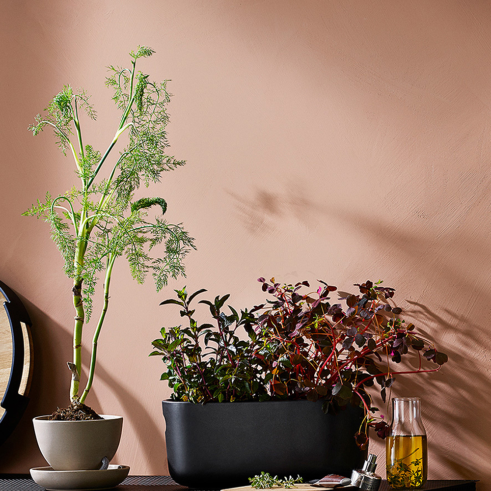 Självvattnande Örtkruka Svart