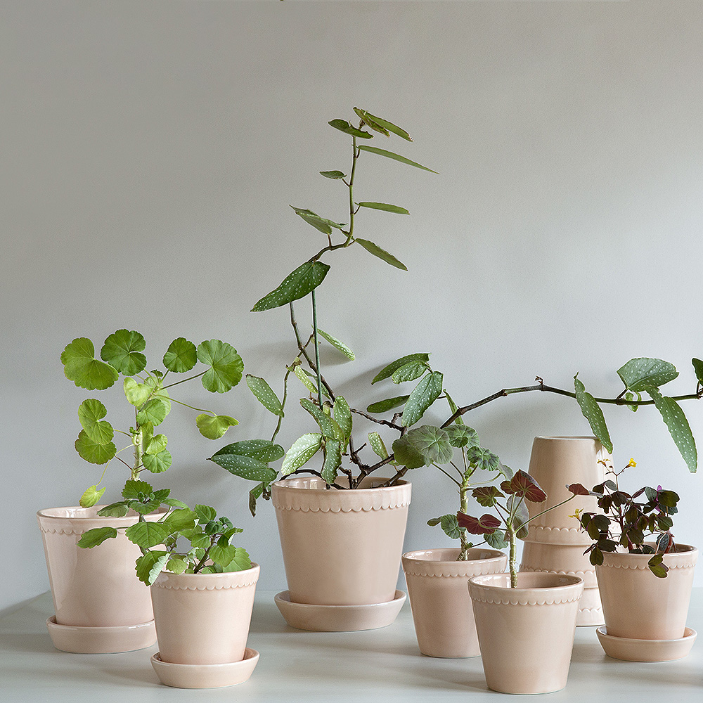 Helena Kruka/Fat 16 cm Rosa