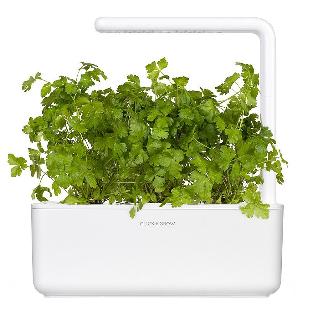 Smart Garden Växtkapsel refill 3-pack Persilja