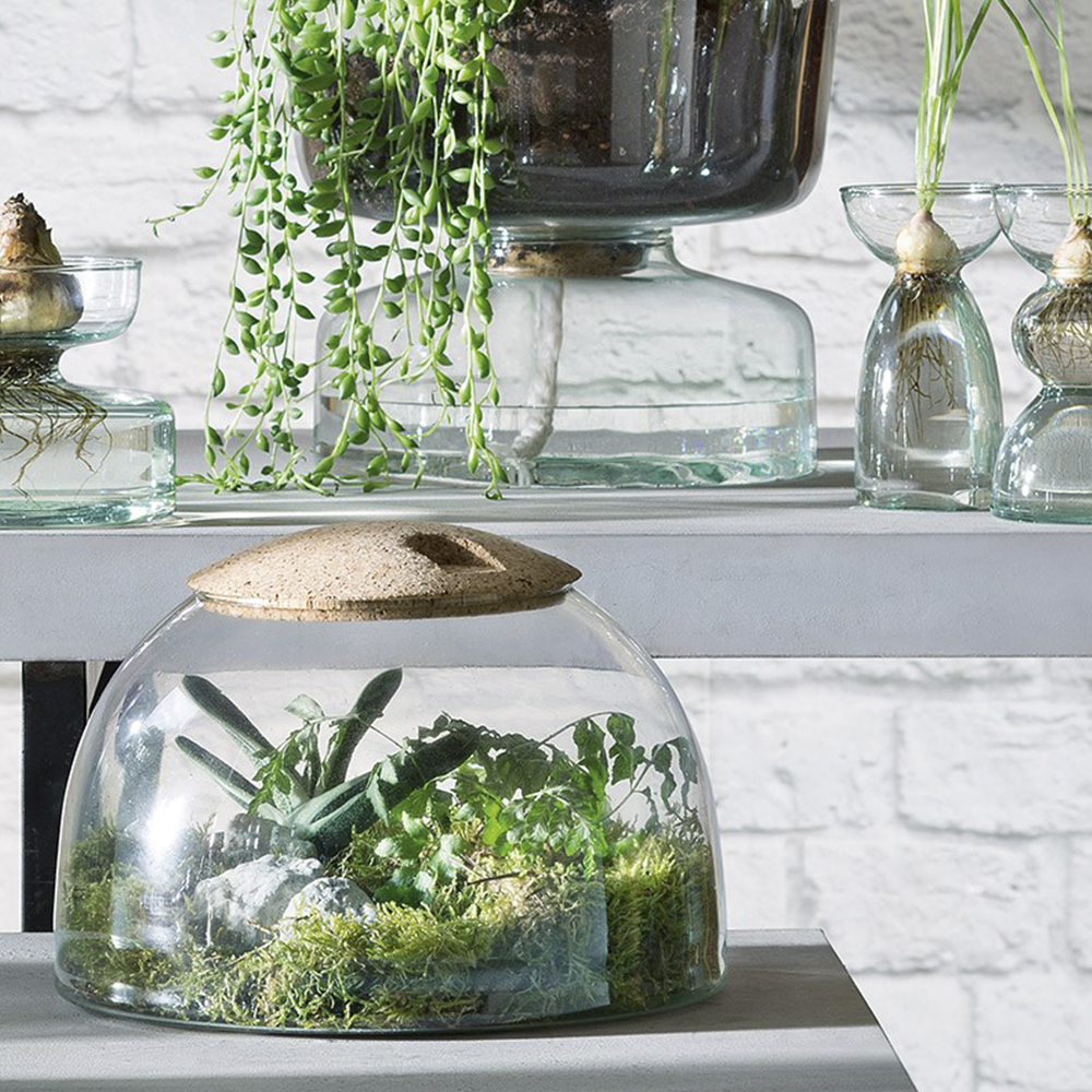 Canopy Terrarium 22 cm