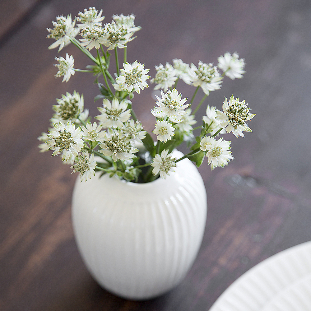 Hammersh?i Vas 10 cm Vit