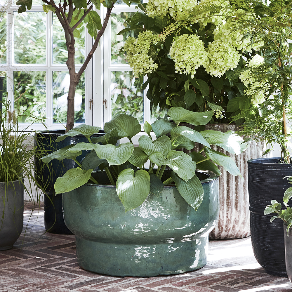 Terra Kruka 32x60 cm Grön