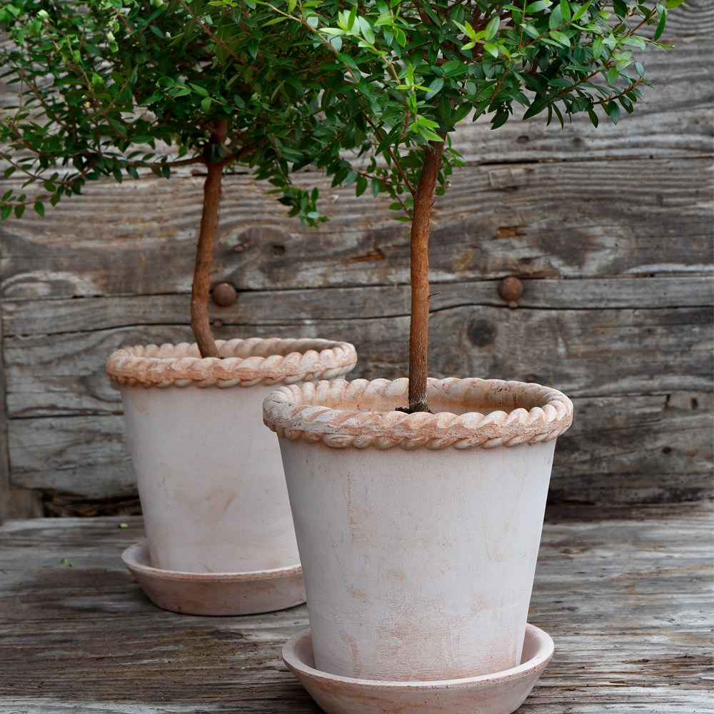 Emilia Kruka/Fat 30 cm Rosa