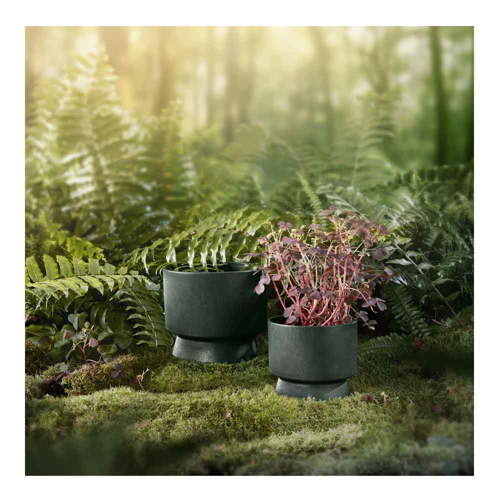 Blomkruka 12 cm Grön