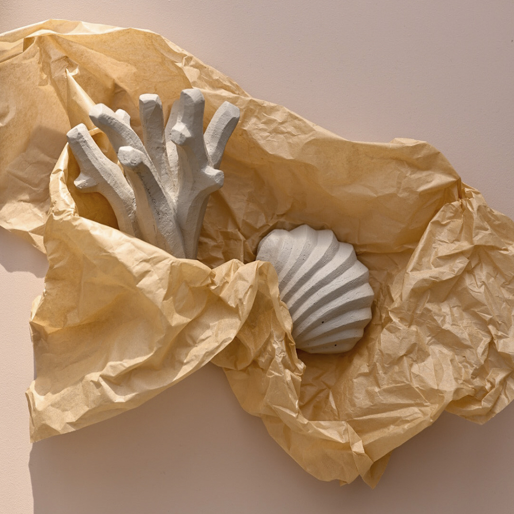 The Clam Shell Skulptur Limestone