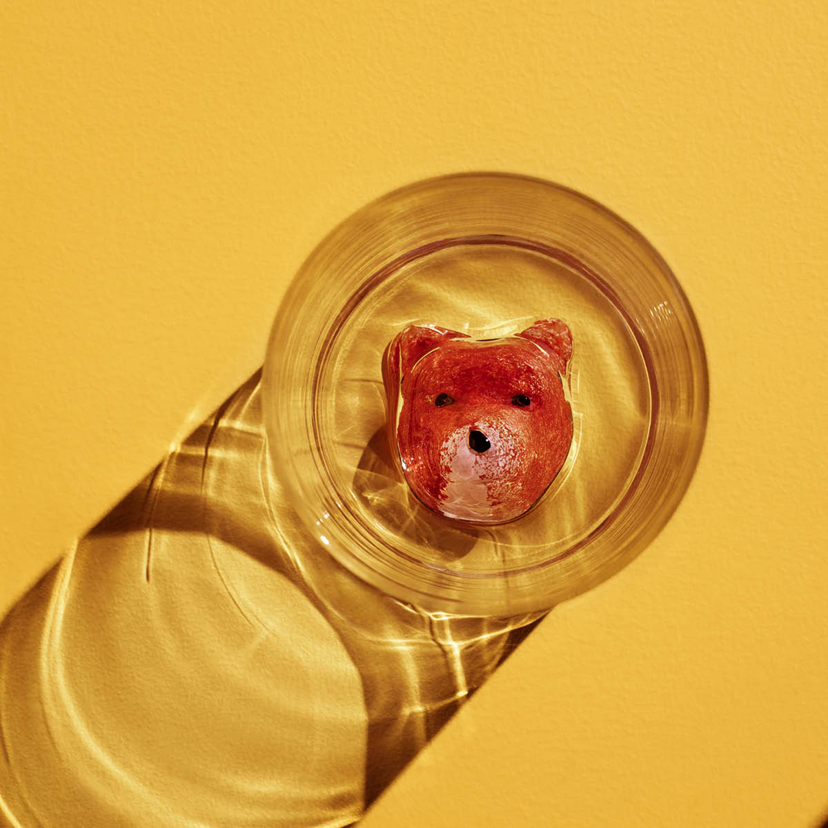 New Friends Tumbler Räv 46 cl