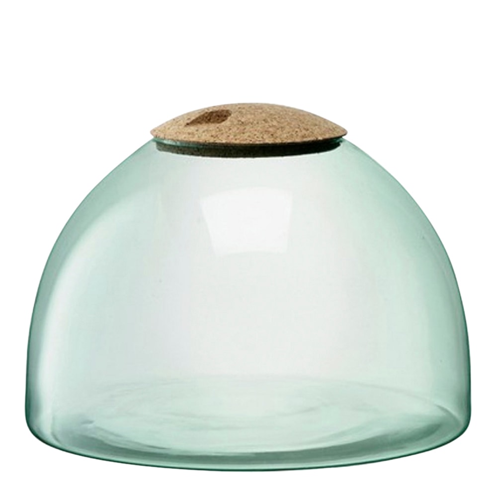 Canopy Terrarium 22 cm