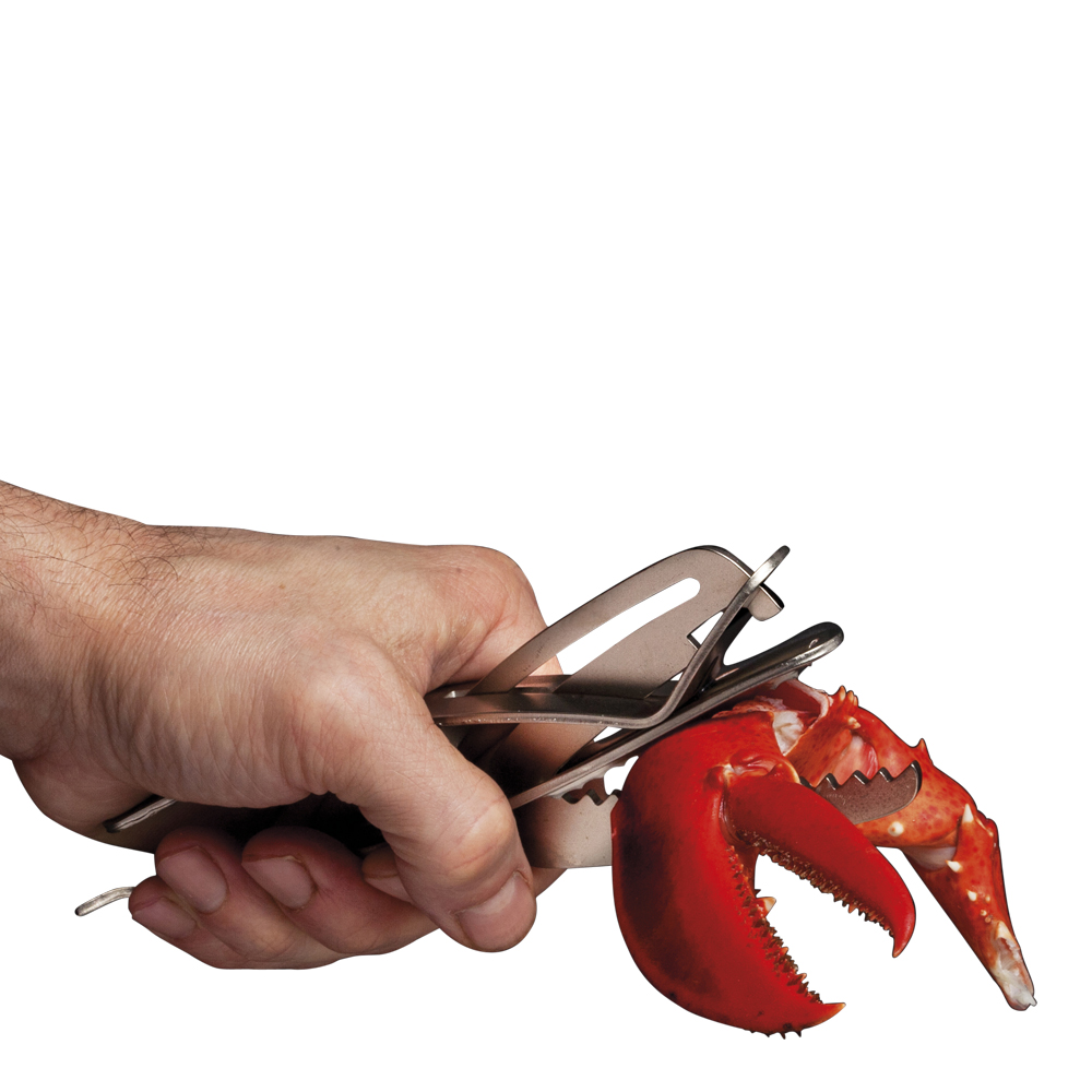 Caretta Skaldjursknäckare Stål