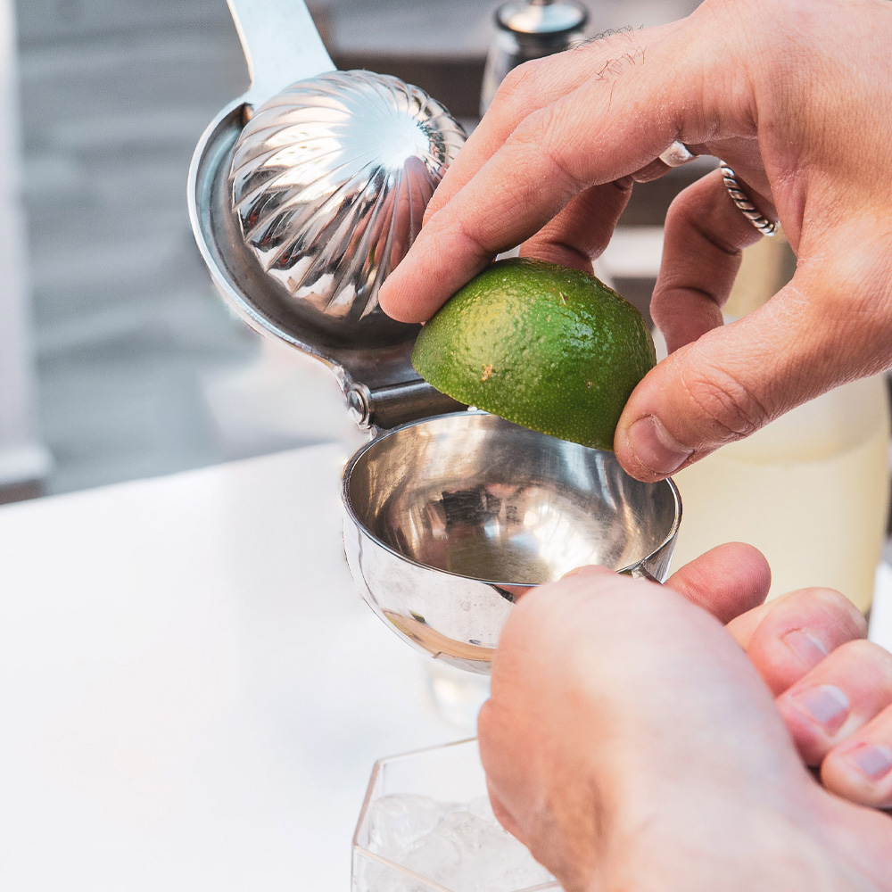 Citruspress 22 cm?Rostfri