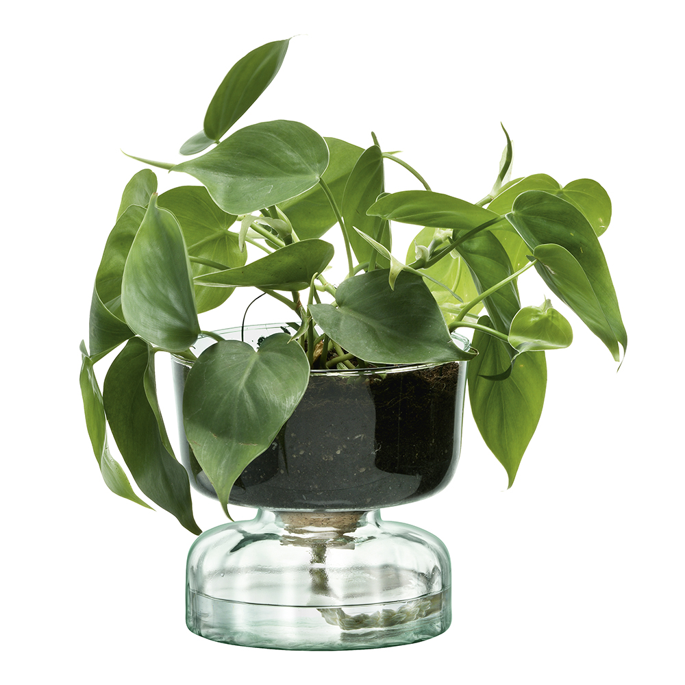 Canopy Kruka Självvattnande 13 cm