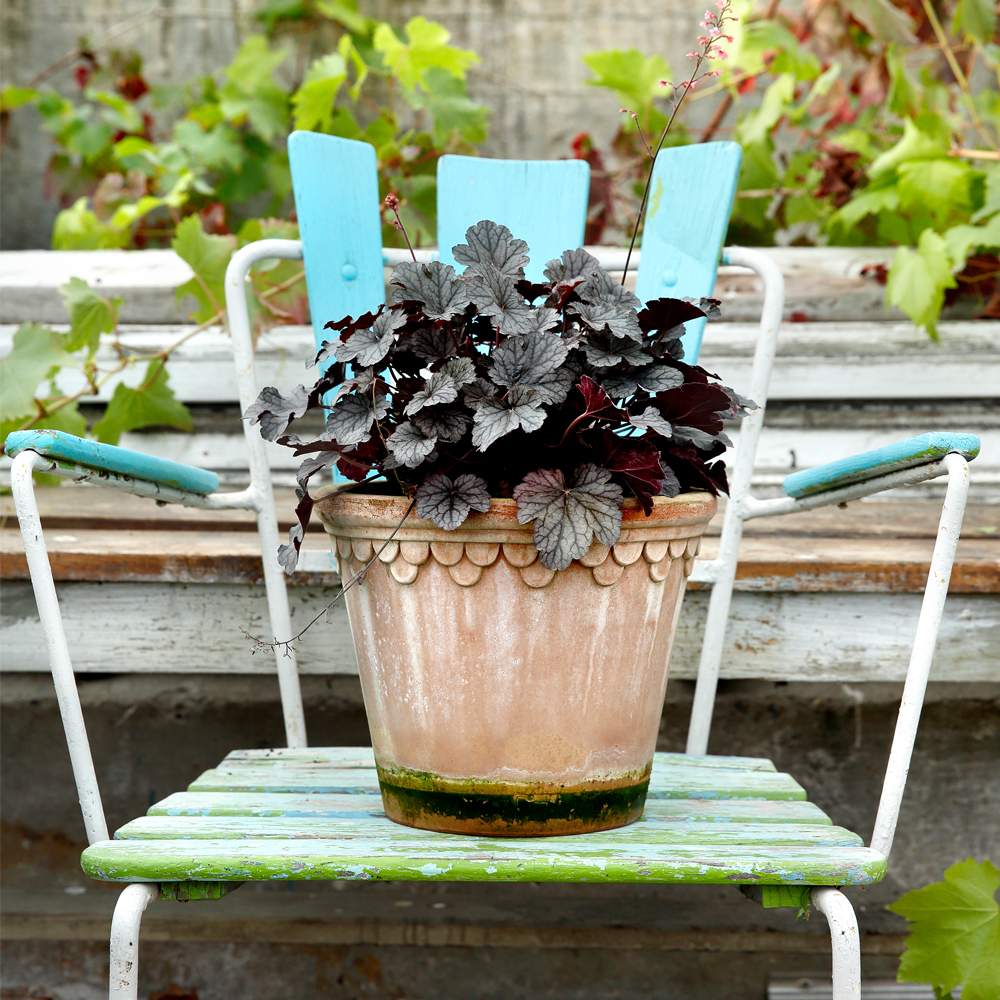 K&ouml;penhavner Kruka/fat 14 cm Rosa