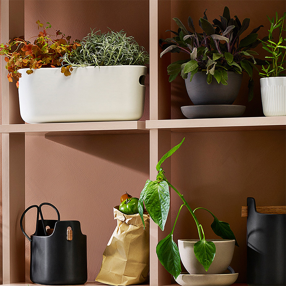 Självvattnande Örtkruka Vit