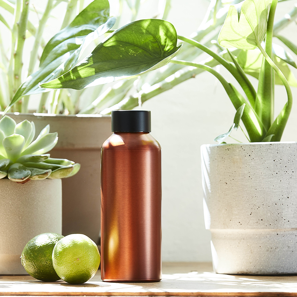 To Go Vattenflaska 50 cl Brun