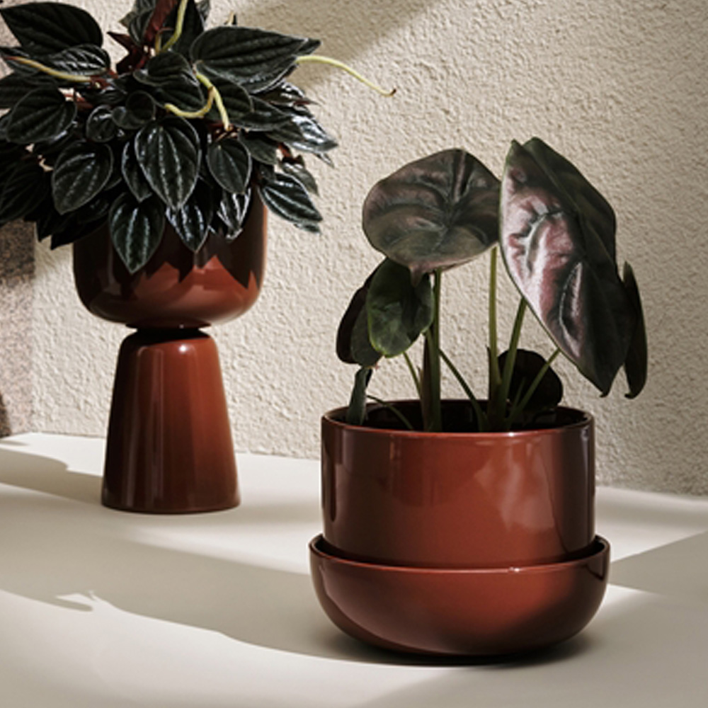 Nappula Kruka med Fat 17x13 cm Brun