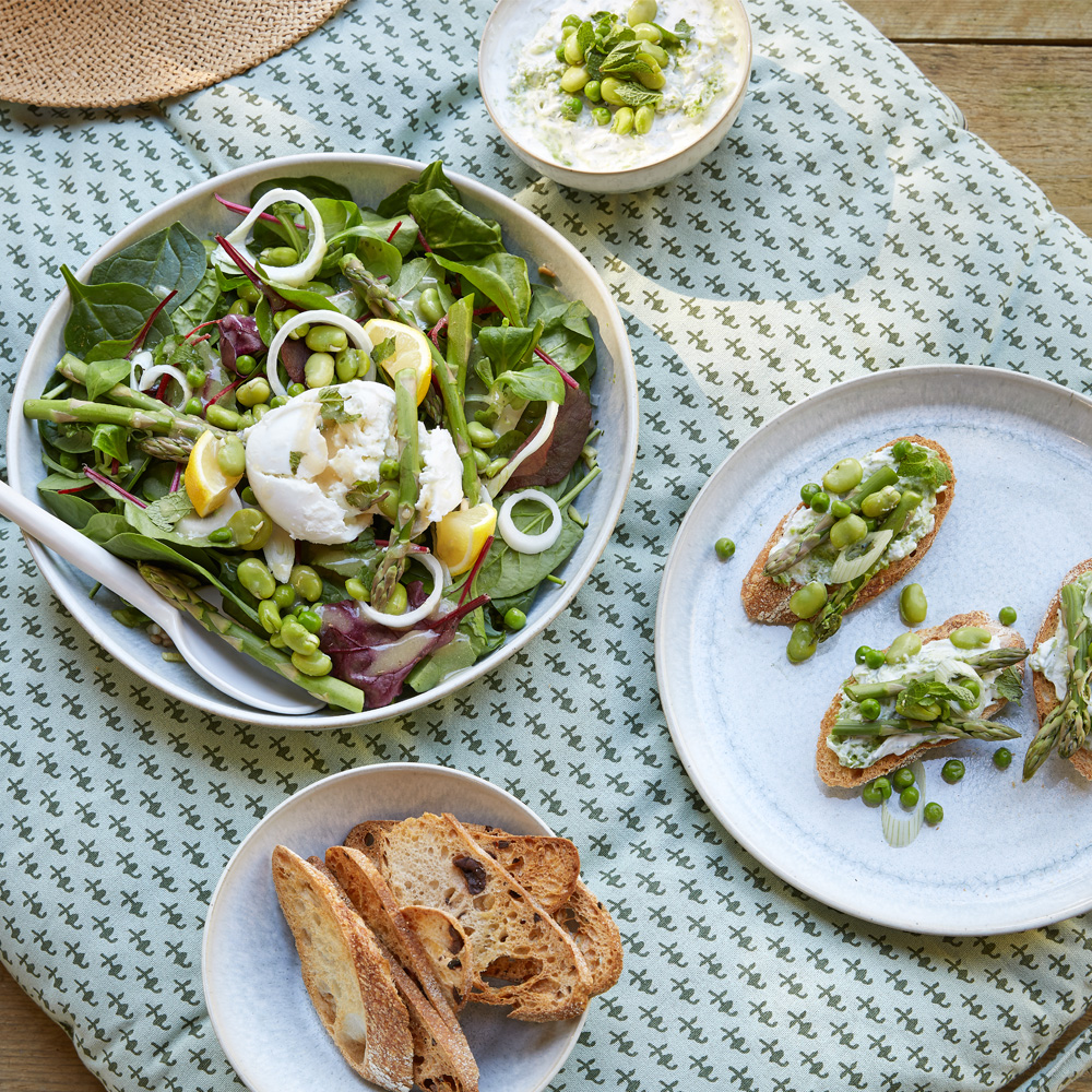 Tallrik 21,5 cm 4-pack Grön