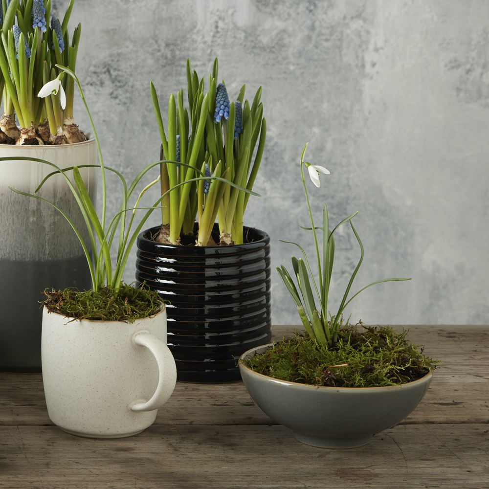 Modus Vas Medium 10,5x11 cm  Svart