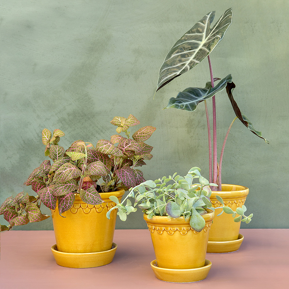 Köpenhavner Kruka/fat 14 cm Gul amber