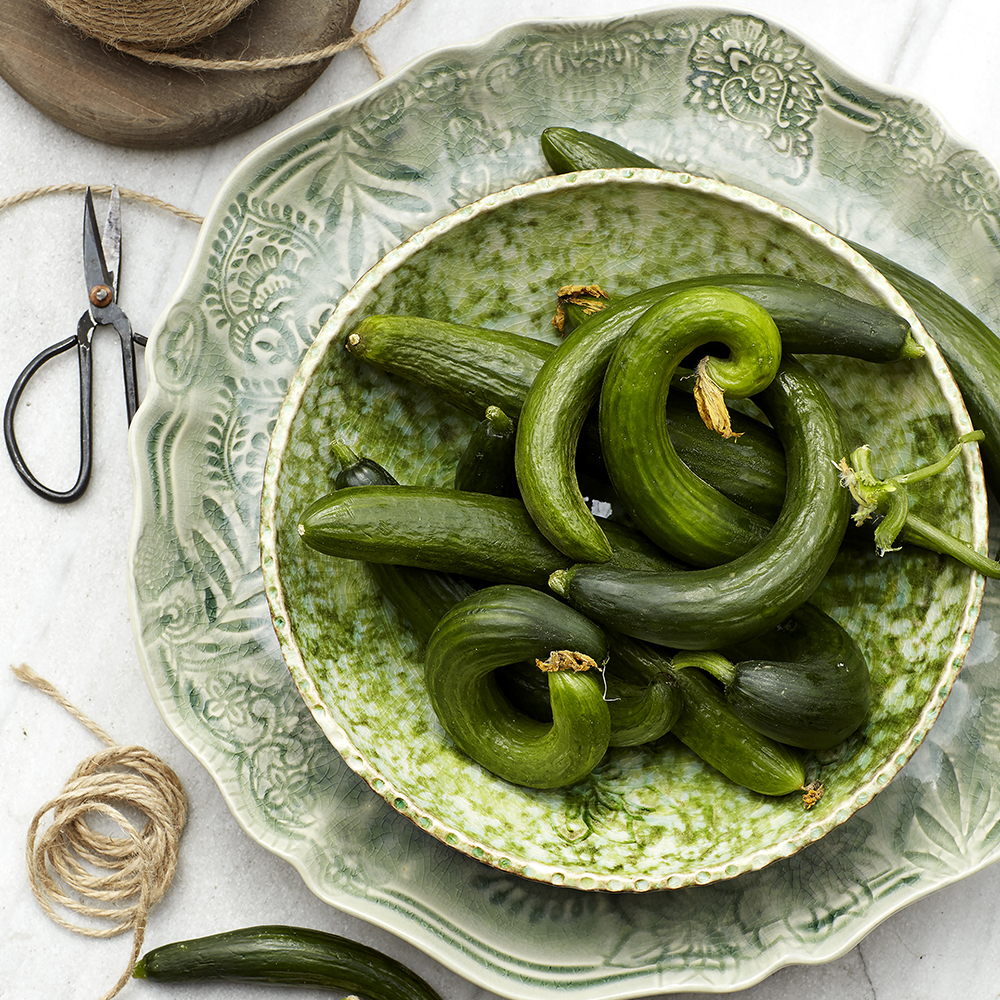 Arabesque Tallrik djup 24 cm Seaweed