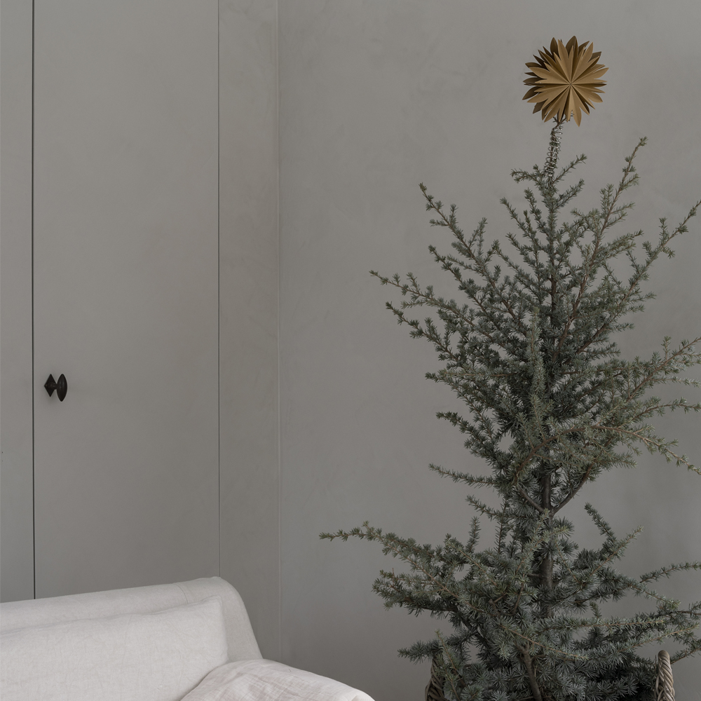 Nova Toppstjärna Guld