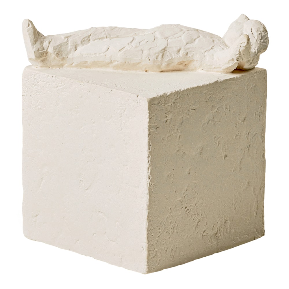 Astro Pisces 13 cm Vit