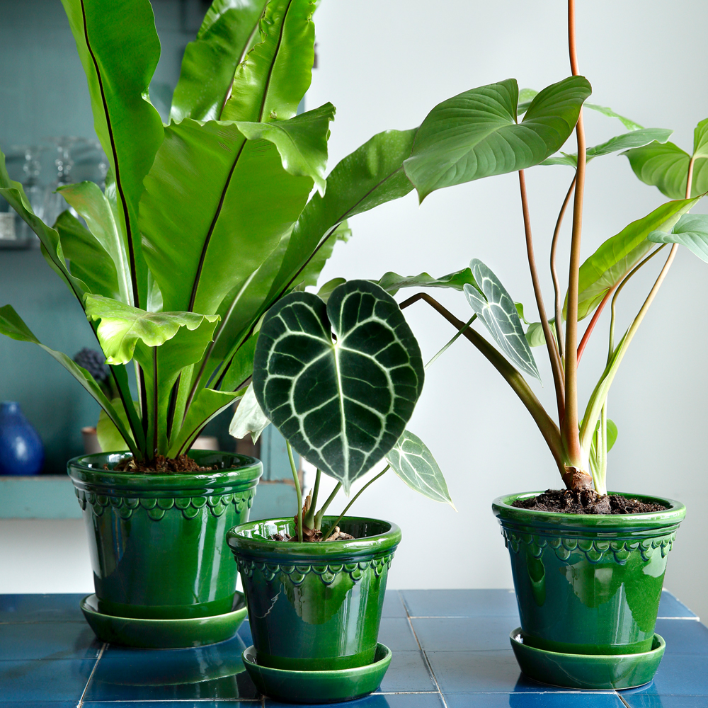 Köpenhavner Kruka/fat 14 cm Grön emerald