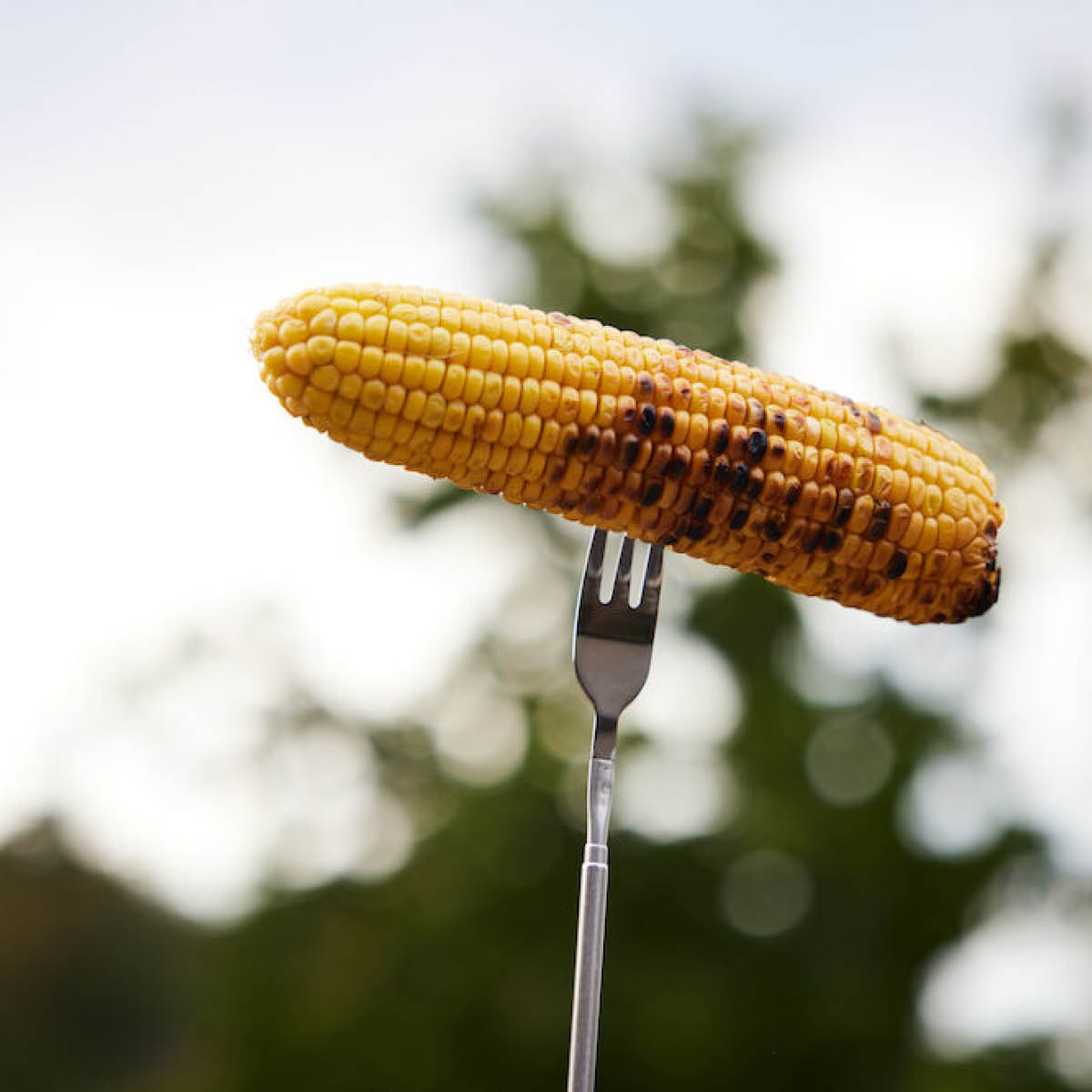 Fredde Korvgaffel 82 cm Rostfritt stål/Trä