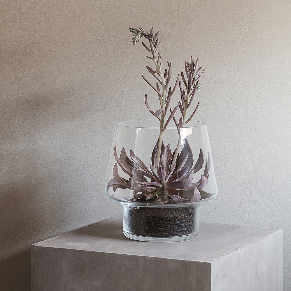 Vas för suckulenter 21 cm