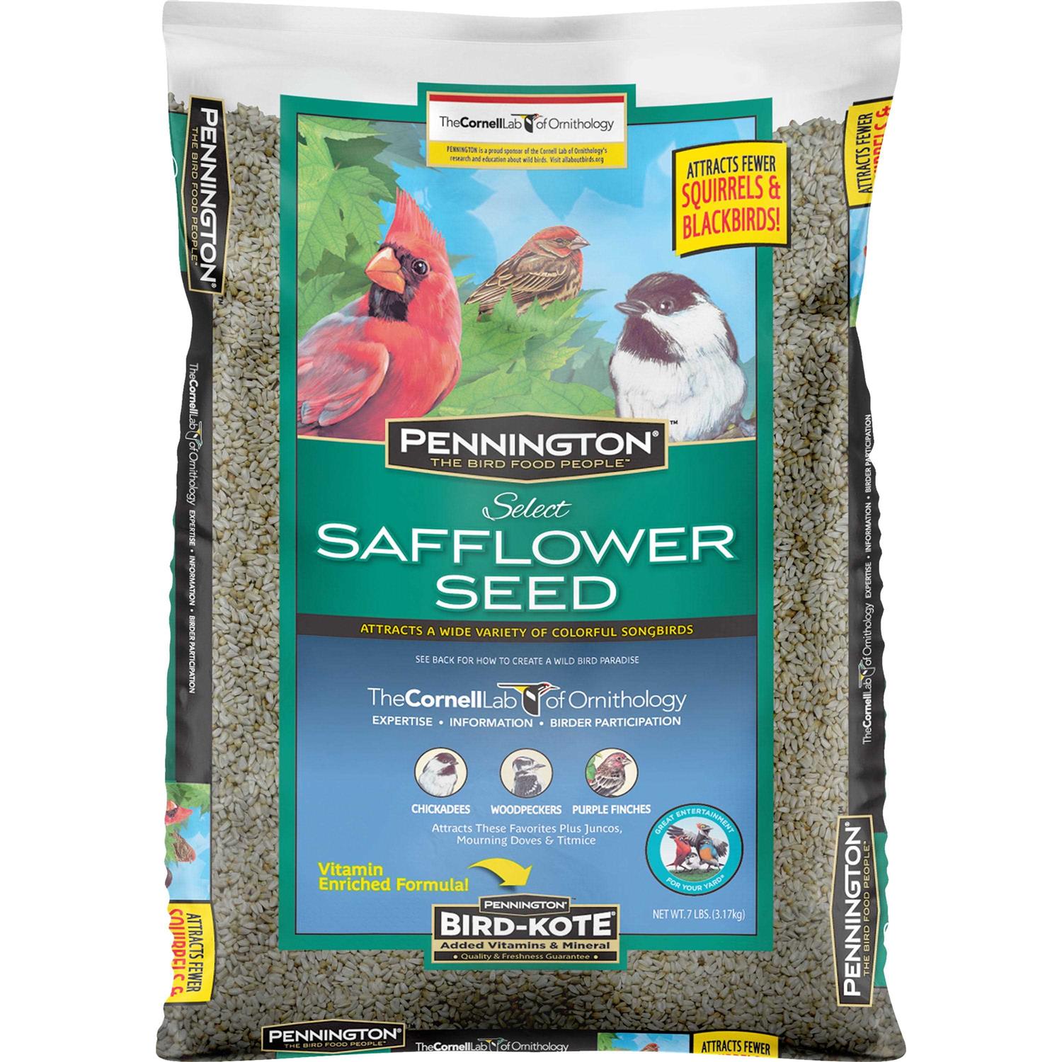 Pennington Select Safflower Seed Wild Bird Feed & Seed Ruruana