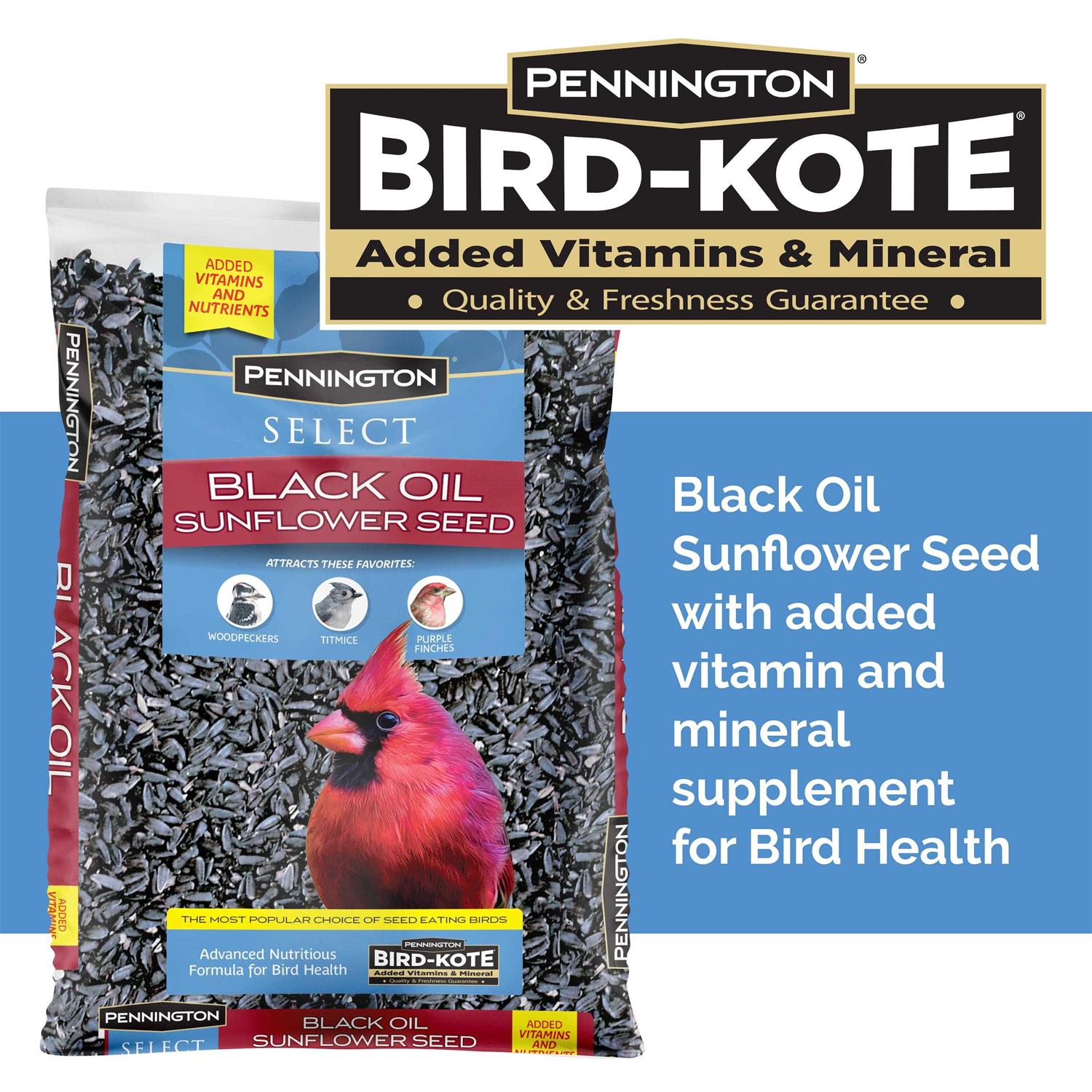 Pennington Select Black Oil Sunflower Seed Wild Bird Feed Ruruana