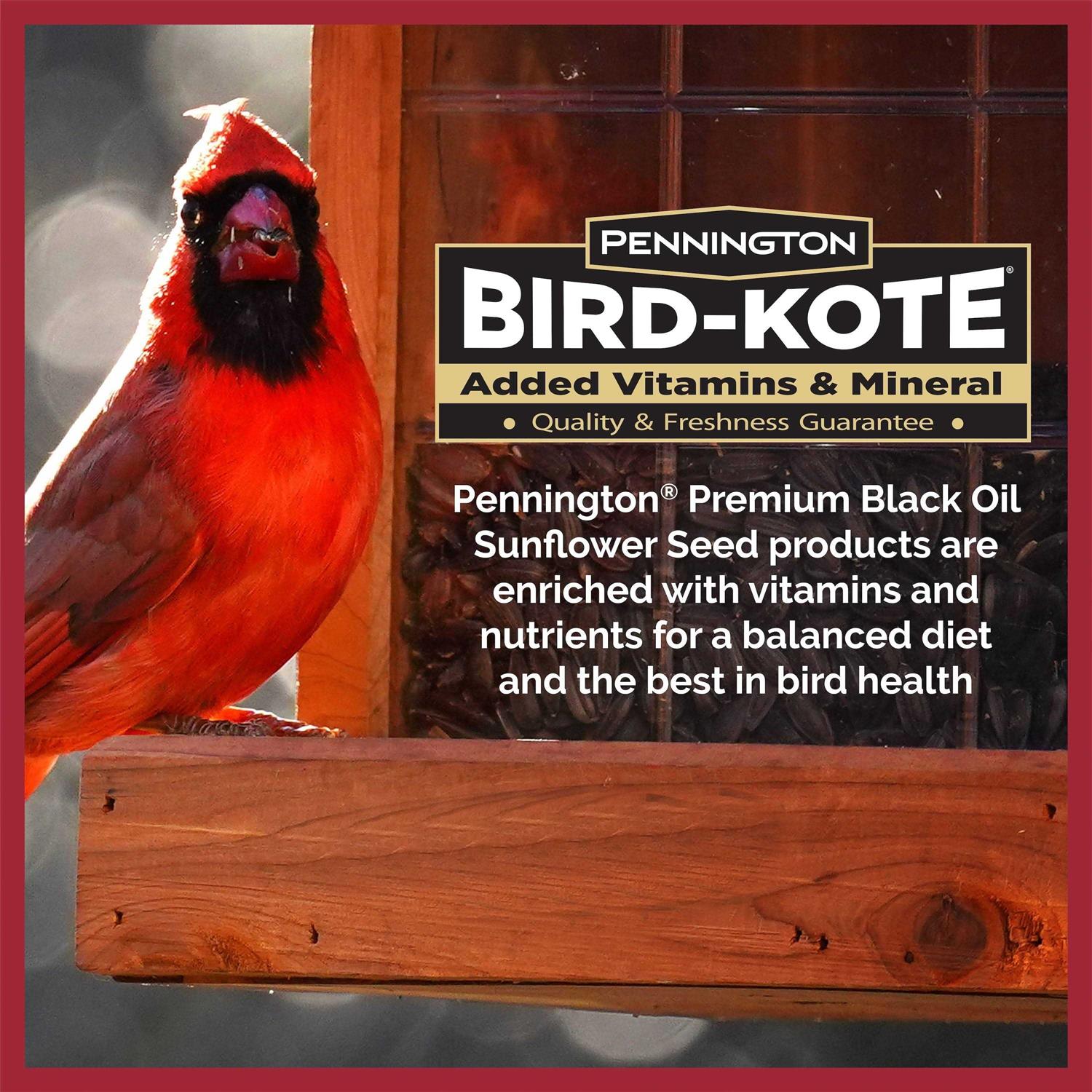 Pennington Select Black Oil Sunflower Seed Wild Bird Feed Ruruana