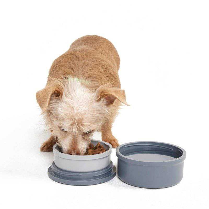 KindTail Portable 2pc Dog Bowl Set Ruruana