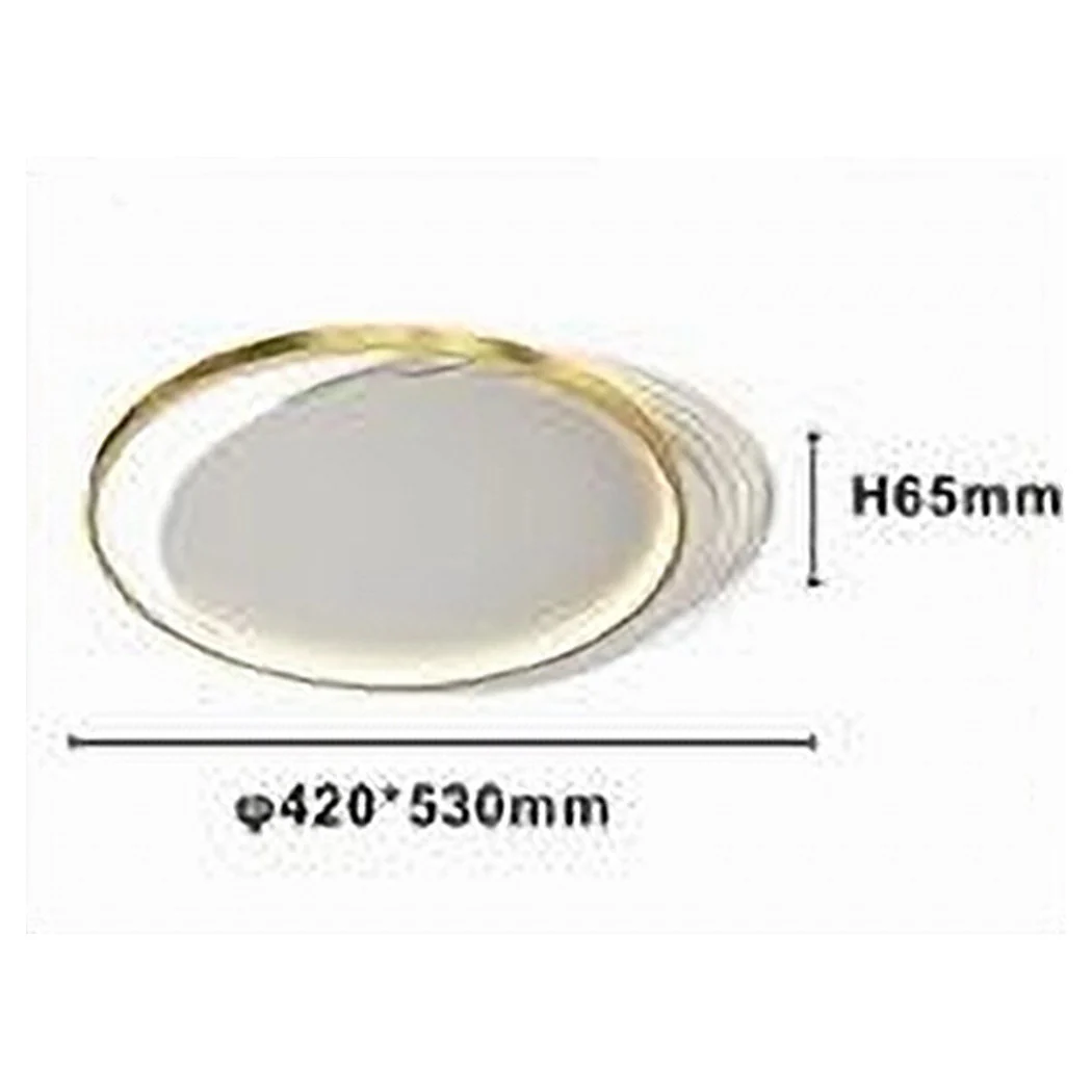 Luz de techo LED 30W Círculo Oro Araña Techo Redondo Luz Natural 70715