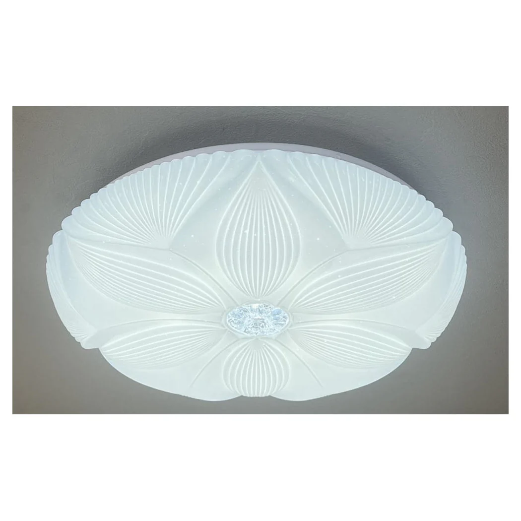 Lámpara de techo de techo LED Decoración de flores 60W Luz de frío blanco 6500k IP20 16744
